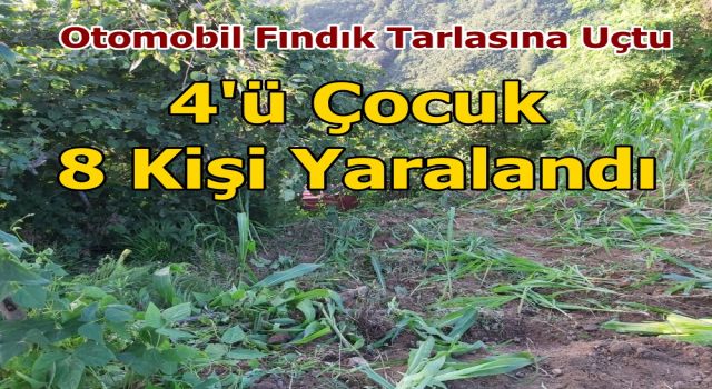 Otomobil Fındık Tarlasına Uçtu, 4'ü Çocuk 8 Kişi Yaralandı