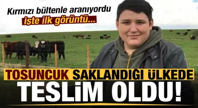 'Tosuncuk' lakaplı Mehmet Aydın saklandığı ülkede teslim oldu!