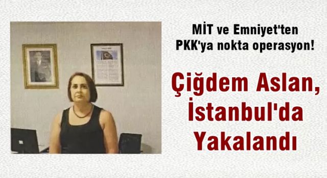 MİT ve Emniyet'ten PKK'ya nokta operasyon! Çiğdem Aslan, İstanbul'da yakalandı