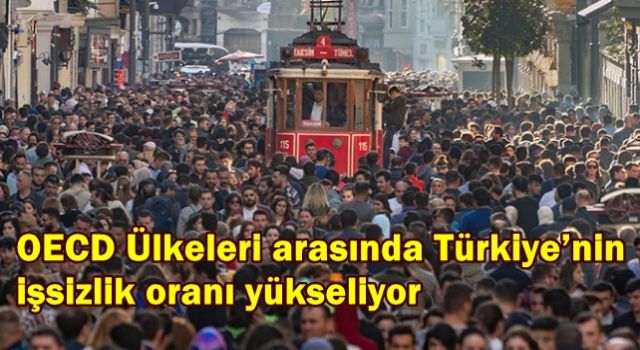 OECD Ülkeleri arasında Türkiye’nin işsizlik oranı yükseliyor