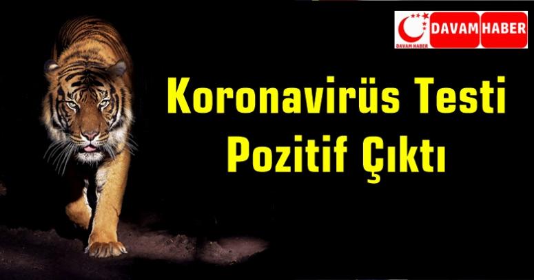 Kaplanın koronavirüs testi pozitif çıktı