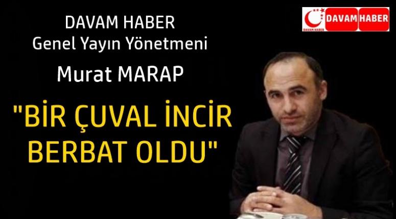 BİR ÇUVAL İNCİR BERBAT OLDU!