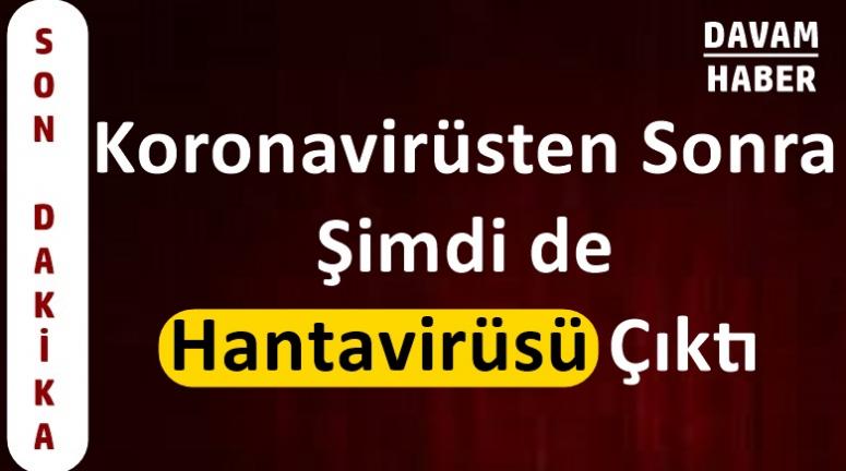 Koronavirüsten Sonra Şimdi de Hantavirüsü Çıktı