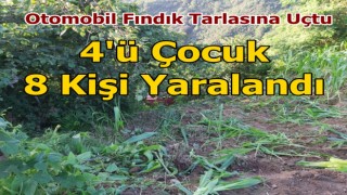 Otomobil Fındık Tarlasına Uçtu, 4'ü Çocuk 8 Kişi Yaralandı