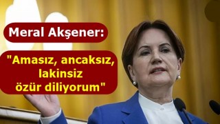 Meral Akşener, Semiha Yıldırım'dan özür diledi