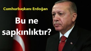 Cumhurbaşkanı Erdoğan: Bu ne sapkınlıktır?