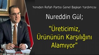 Nureddin Gül; "Fındık Üreticisinin Ürünü Dalda Kalıyor"