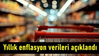 Yıllık enflasyon verileri açıklandı